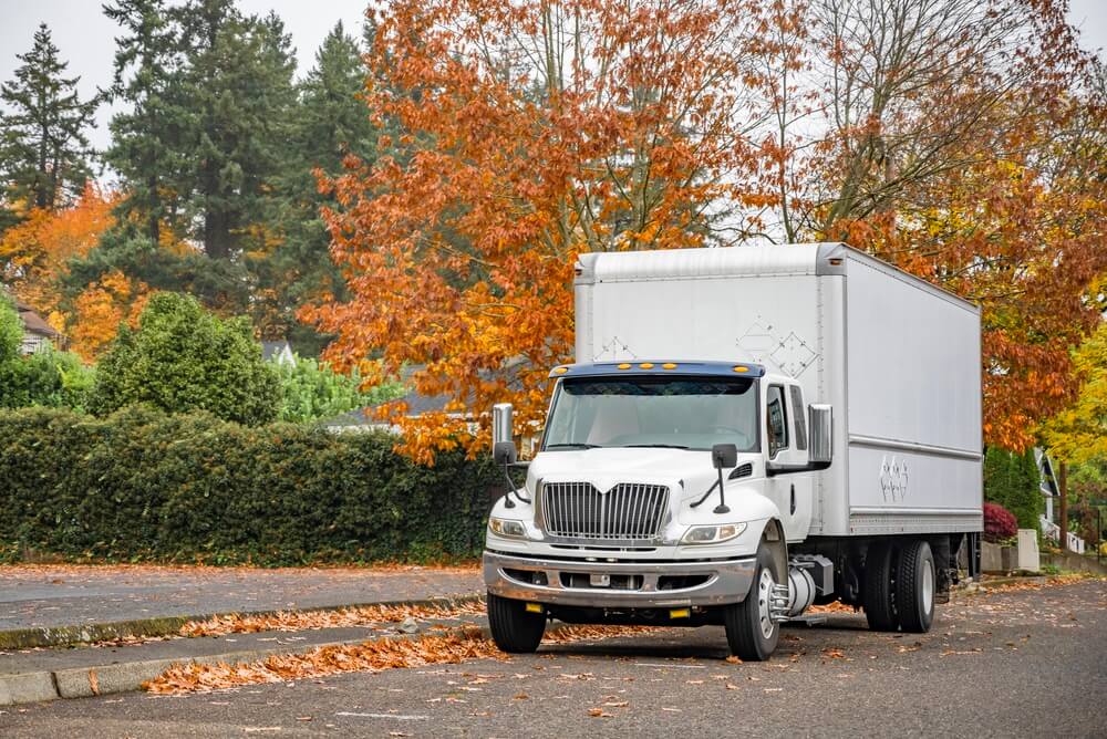 Postal white truck passing near the park.